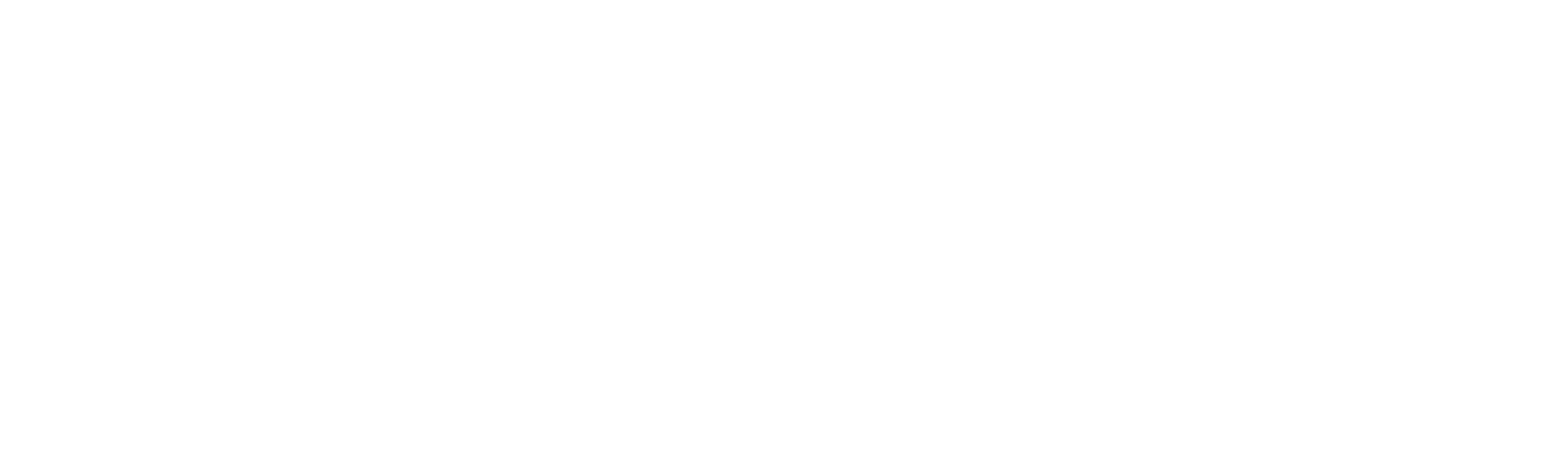 Logo Camila Vollger